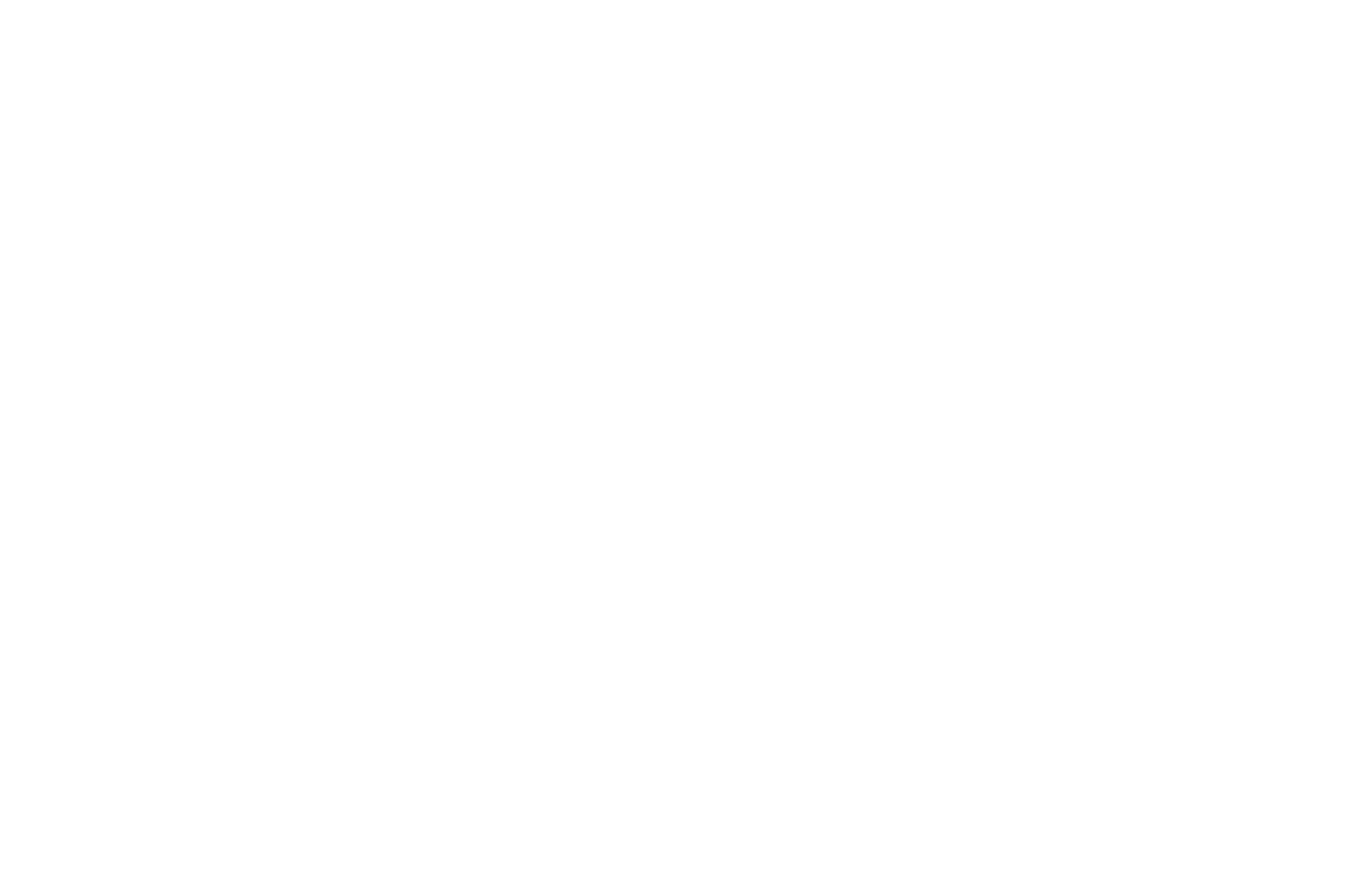 Triton Submarines